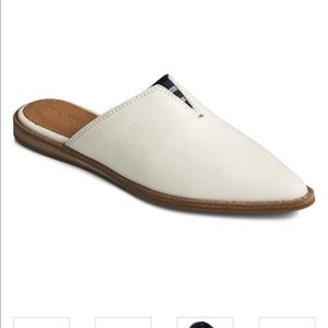 Sperry top siders saybrook mules